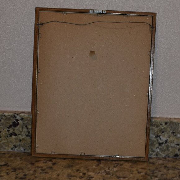 Very Nice Framed Parrot Picture - Picture 3 of 3